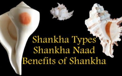 All You Need To Know About Shankha And Its Significance In Life