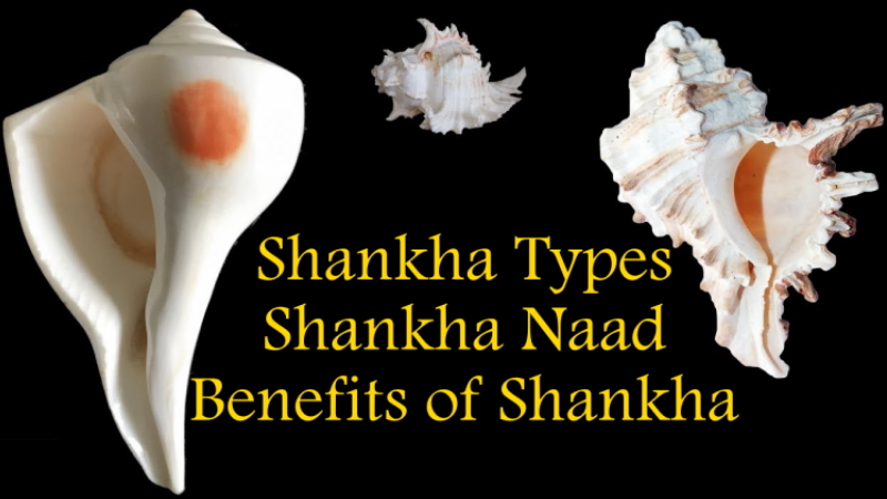 All You Need To Know About Shankha And Its Significance In Life