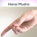 Hansi mudra for Havan or Yagya Aahuti