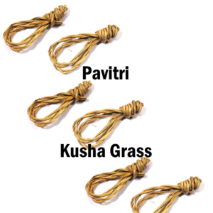 kusha-grass-pavitri