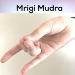 mrigi-mudra for Havan or Yagya