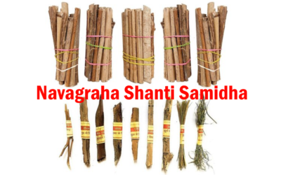 Types of Samidha (Lakadi/Kaashth) for Havan in Navagraha Yagya/Yagna