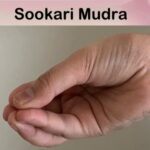 sookari-mudra-havan-yagya