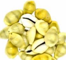 yellow-kausi-peeli-kaudi